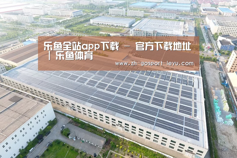 案例展示一