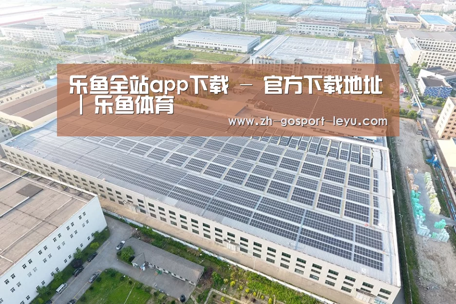 案例展示二