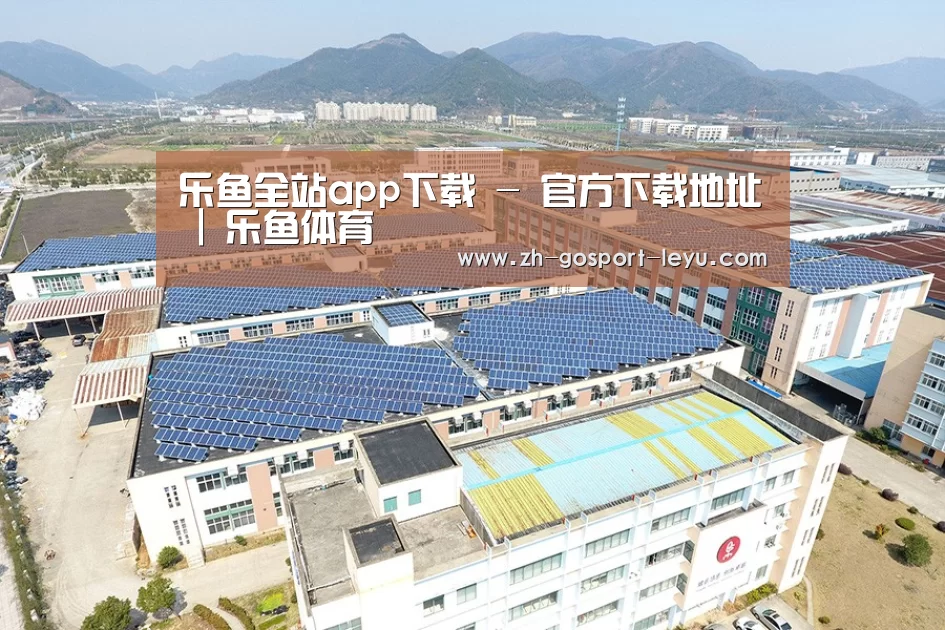 案例展示二