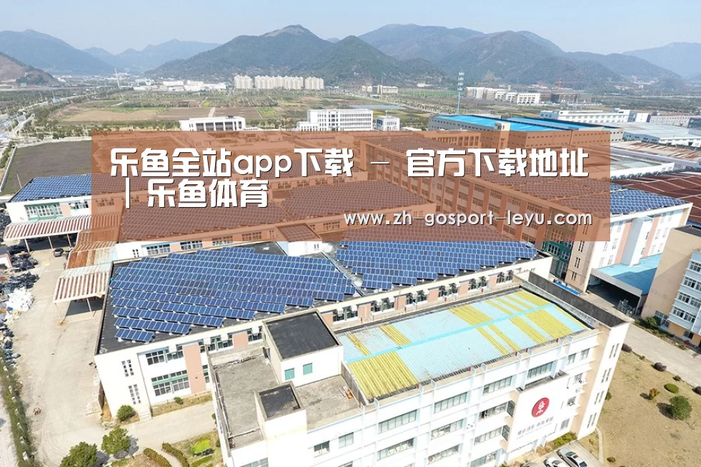 案例展示一