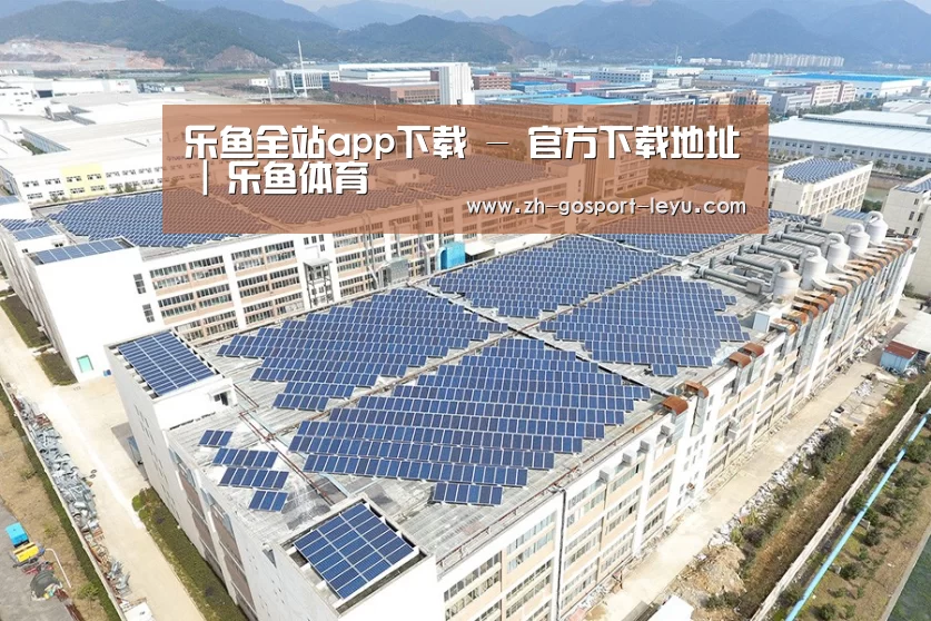 案例展示二