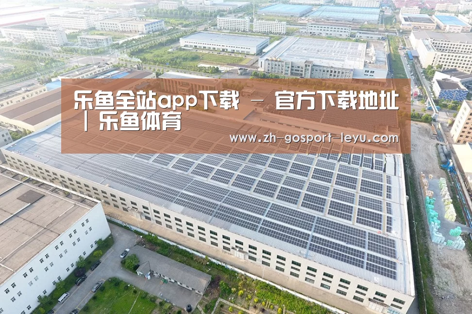 案例展示三