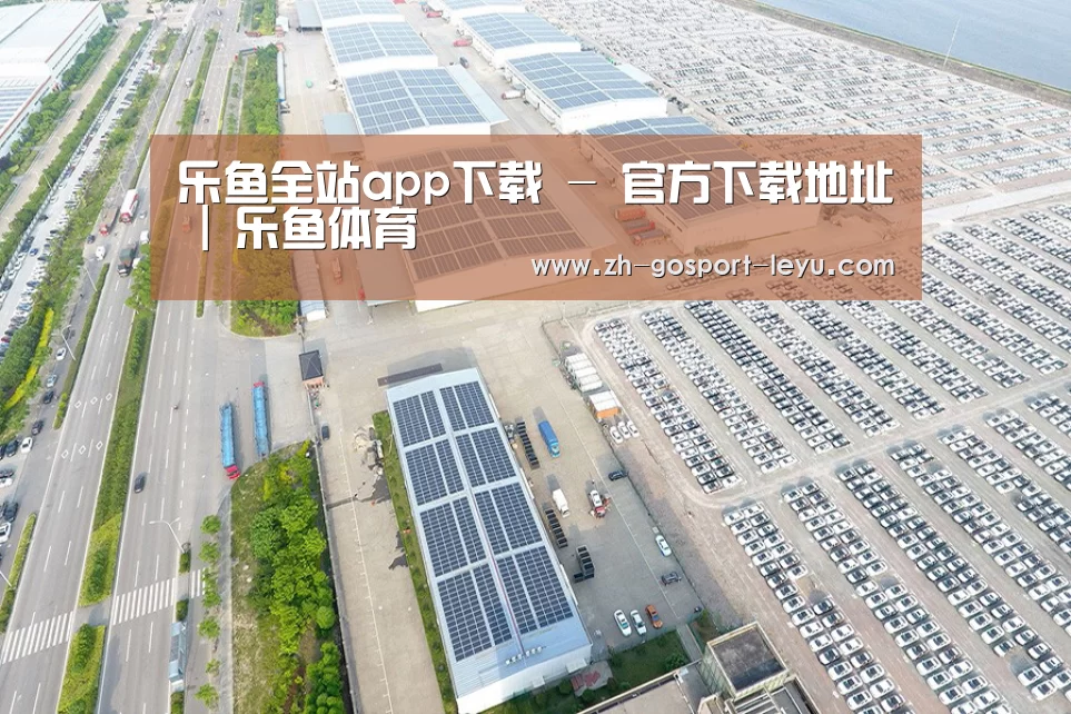 案例展示一