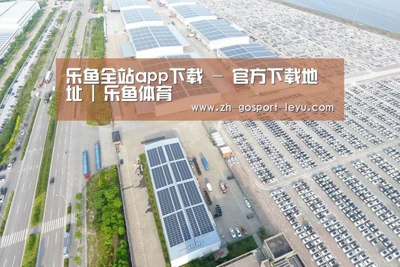 案例展示四