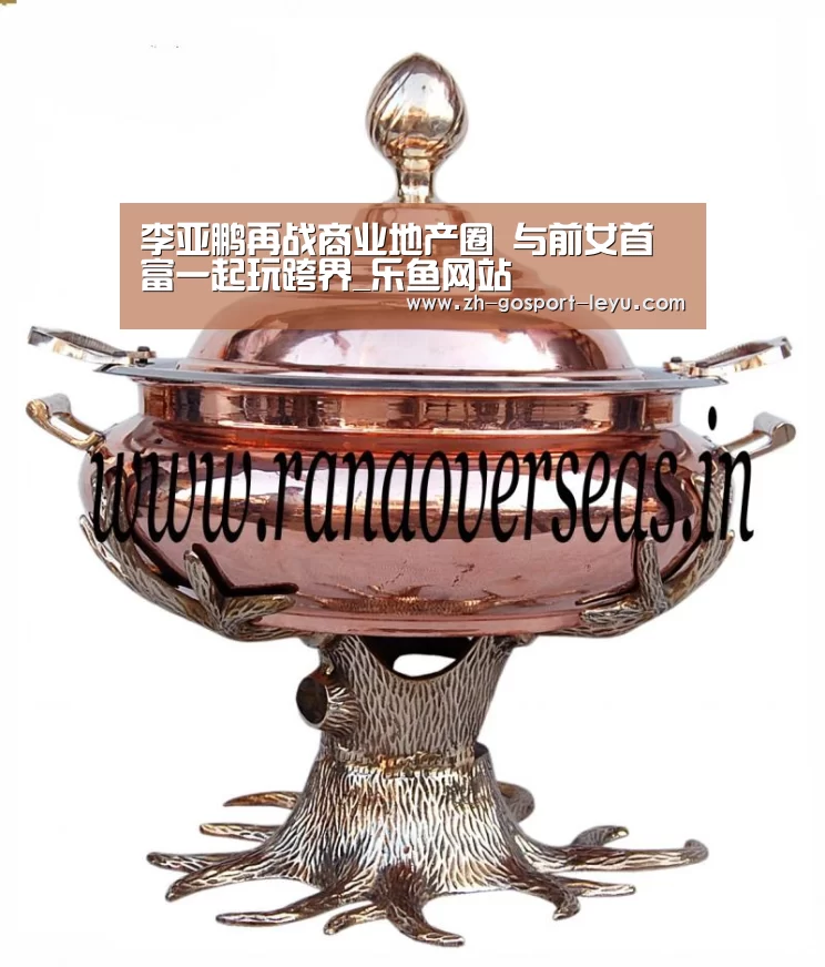 李亚鹏再战商业地产圈 与前女首富一起玩跨界_乐鱼网站(图2) 乐鱼LEYU